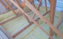 jlpvnzoxbr_____IMG_20190303_163339