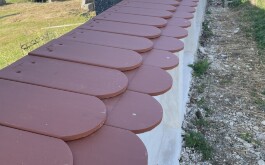 cysh6uj7gm_____IMG_2210