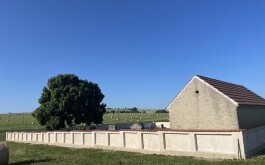 cysh6uj7gm_____IMG_2210