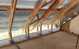 iieitjeyrx_____IMG_1287